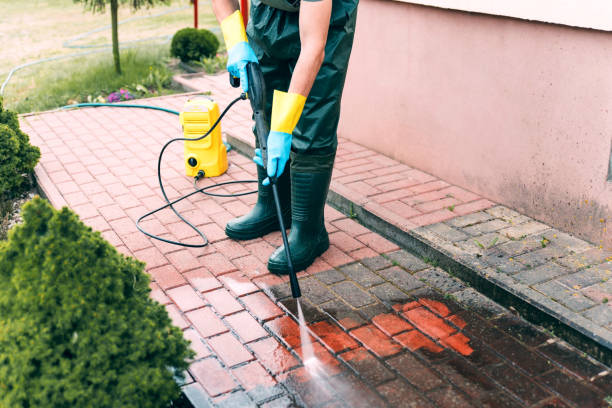 Best Solar Panel Cleaning  in Chevy Chase, MD